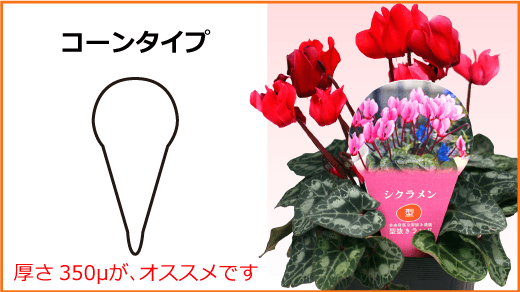 フラワーラベル-コーン型商品イメージ-サムネイル