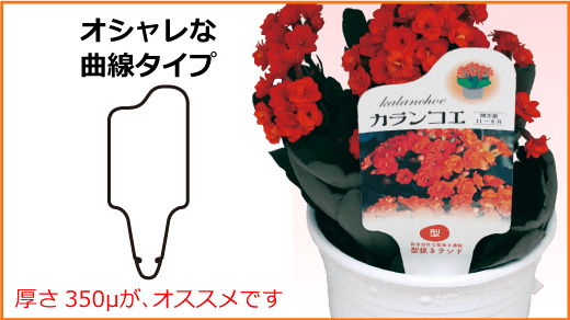 フラワーラベル-曲線型タイプ商品イメージ-サムネイル