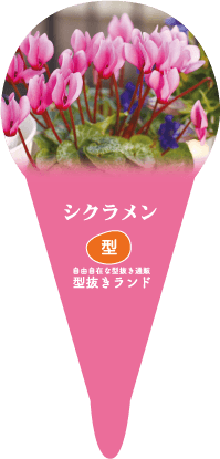 フラワー（園芸）ラベル商品イメージ-3