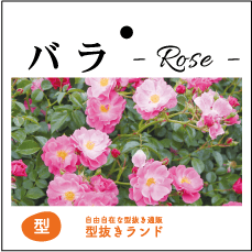 フラワー（園芸）ラベル商品イメージ-4
