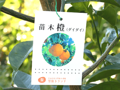 【ユポ(耐水紙)】フラワーラベルの画像